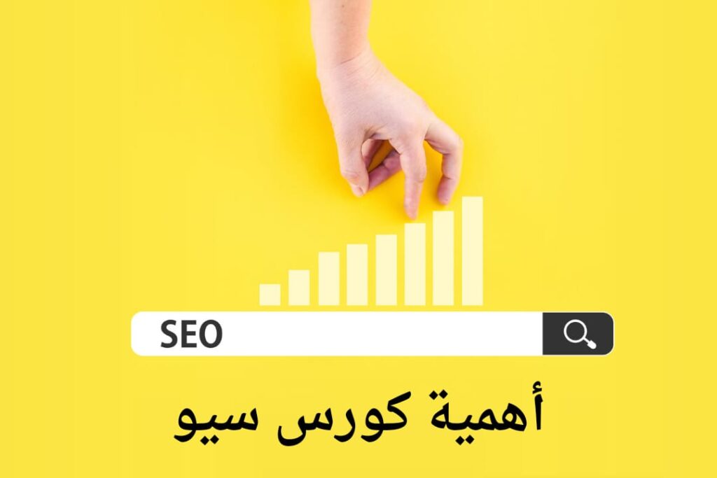 أهمية كورس سيو